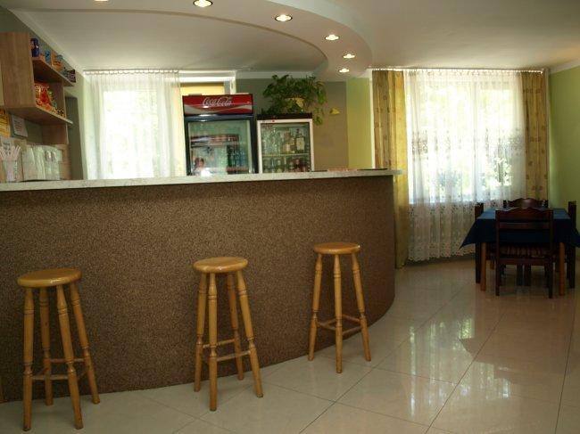 Bed and Breakfast Lesna Polana Сенкоцин Экстерьер фото